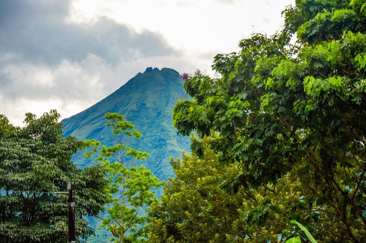 Yellow Tree Suites La Fortuna ภายนอก รูปภาพ