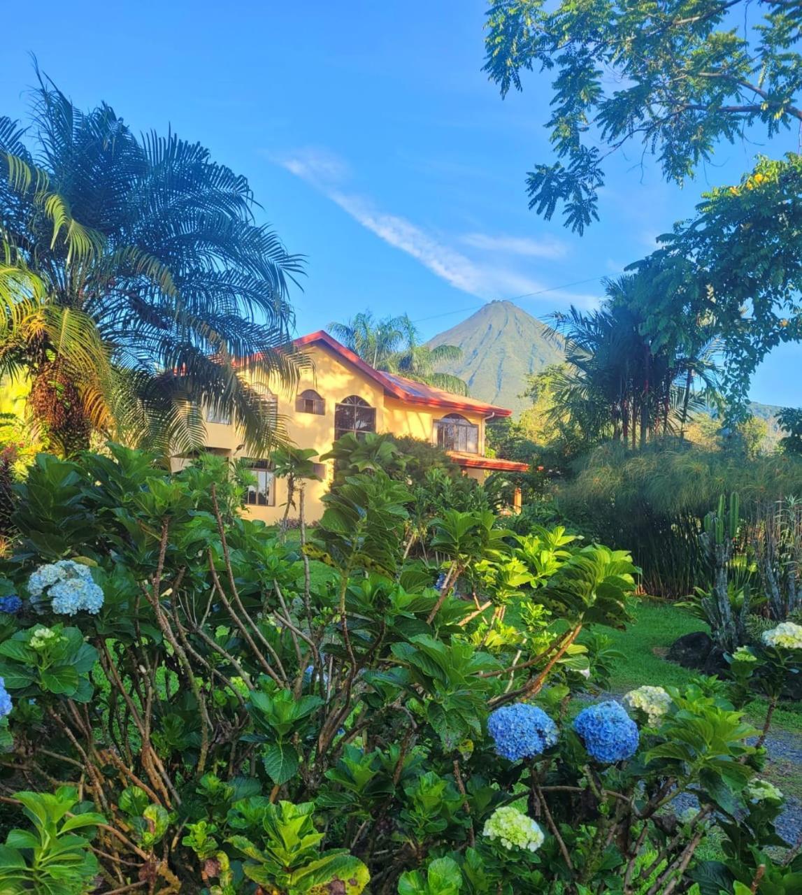Yellow Tree Suites La Fortuna ภายนอก รูปภาพ